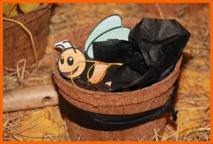 Bee Strong's Grow Your Own Flowers Kit